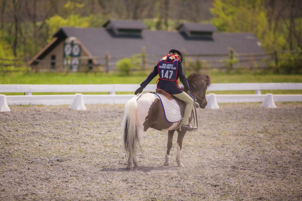 New Jersey Pony Club- Dressage Rally, Sun, May 7, 2023 | Blue Horse Entries