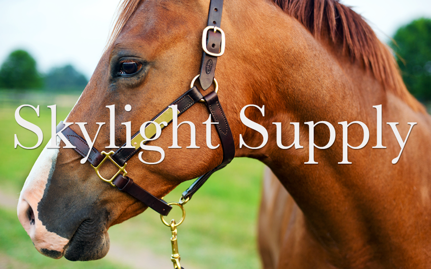 Skylight Supply  logo