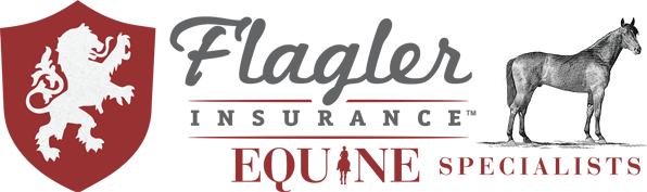 Flagler Insurance  logo