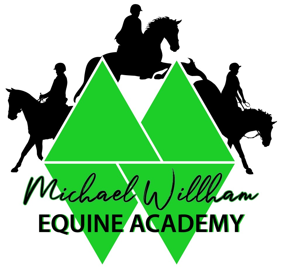 Equine Academy  logo