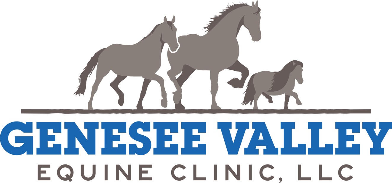 Genesee Valley Equine Clinic logo