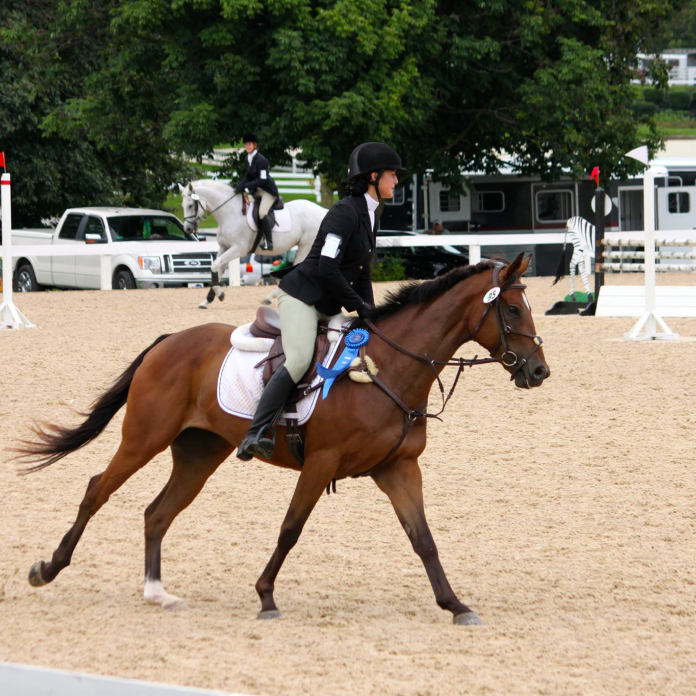 A woman on a brown horse trots across a sand stadium.